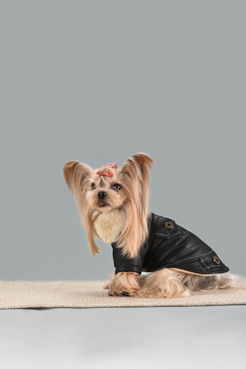 Manteau d'Hiver Douillet - élégance & Chaleur pour Chiens