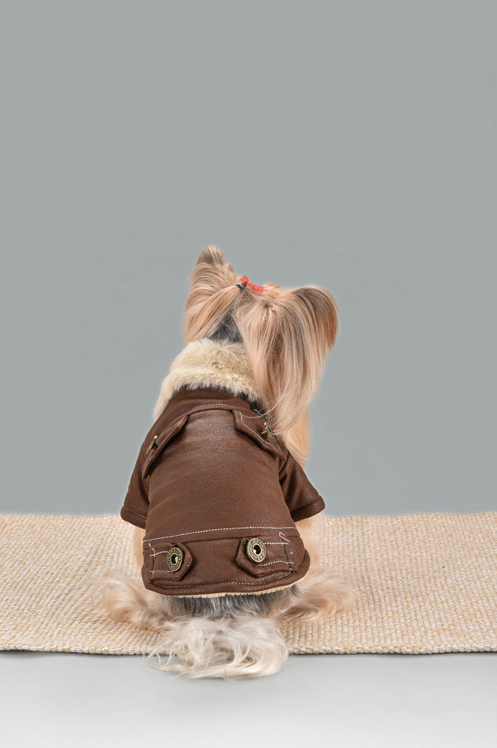 Manteau d'Hiver Douillet - élégance & Chaleur pour Chiens