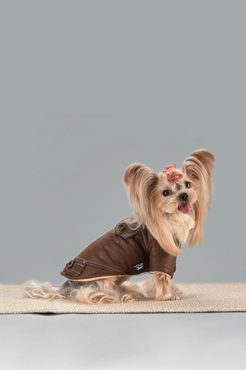 Manteau d'Hiver Douillet - élégance & Chaleur pour Chiens