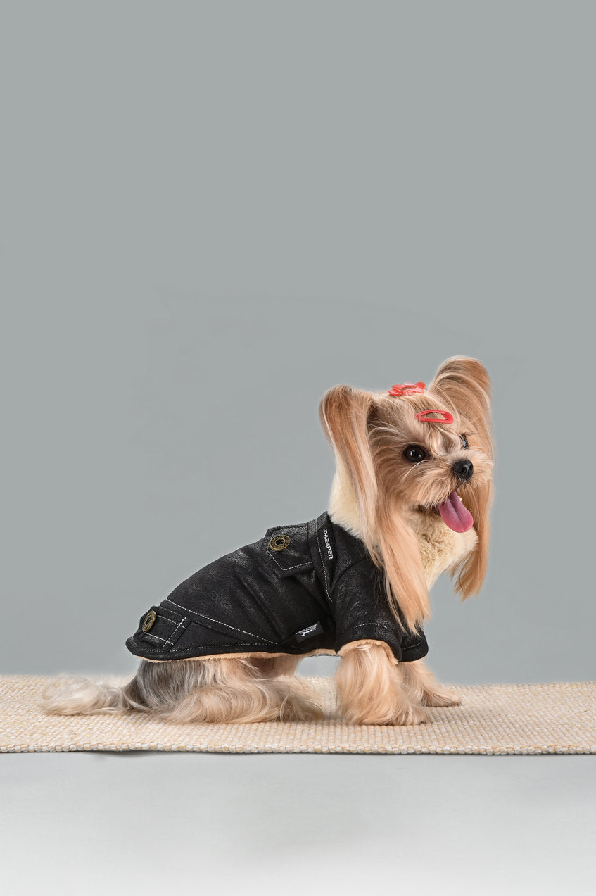 Manteau d'Hiver Douillet - élégance & Chaleur pour Chiens